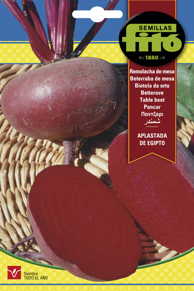 REMOLACHA MESA P. EGIPTO 13GR ASAGRO,SERVICIOS AGRICOLAS S.L.