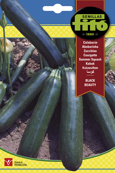 CALABACIN BLACK BEAUTY 10 GR ASAGRO,SERVICIOS AGRICOLAS S.L.
