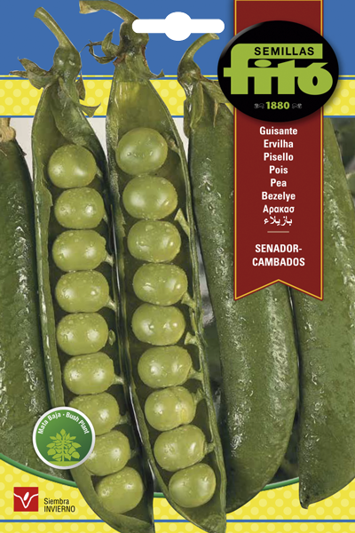 SEMILLA GUISANTE SENADOR 250GR MATA MEDIA-ALTA ASAGRO,SERVICIOS AGRICOLAS S.L.