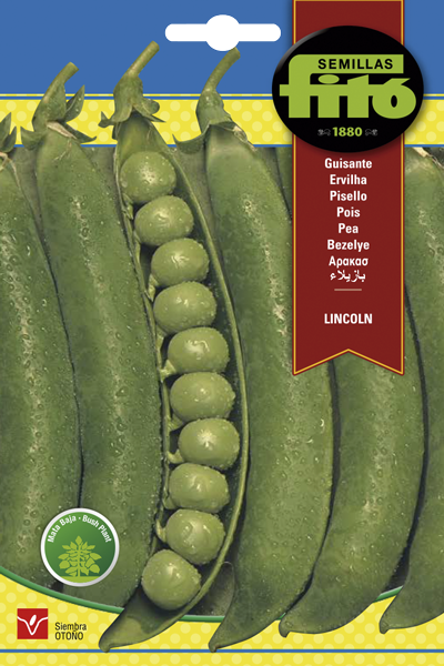 SEMILLA GUISANTE LINCOLM 250 GR MATA BAJA ASAGRO,SERVICIOS AGRICOLAS S.L.
