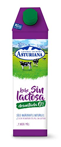 LECHE SIN LACTOSA 0% MG CLAS 1L HIJOS DE LUIS RODRIGUEZ, S.A.