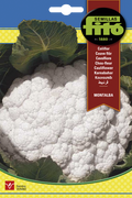 COLIFLOR MONTALBA 4GR-SB ASAGRO,SERVICIOS AGRICOLAS S.L.