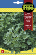PEREJIL GGTE ITALIA 20 GR - SB ASAGRO,SERVICIOS AGRICOLAS S.L.