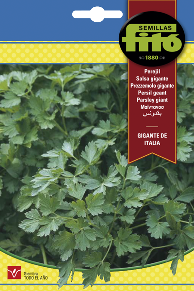 PEREJIL GGTE ITALIA 20 GR - SB ASAGRO,SERVICIOS AGRICOLAS S.L.