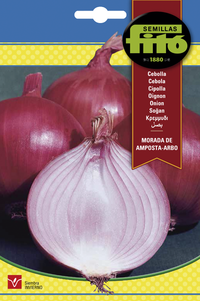 CEBOLLA MORADA AMPOSTA SB ASAGRO,SERVICIOS AGRICOLAS S.L.