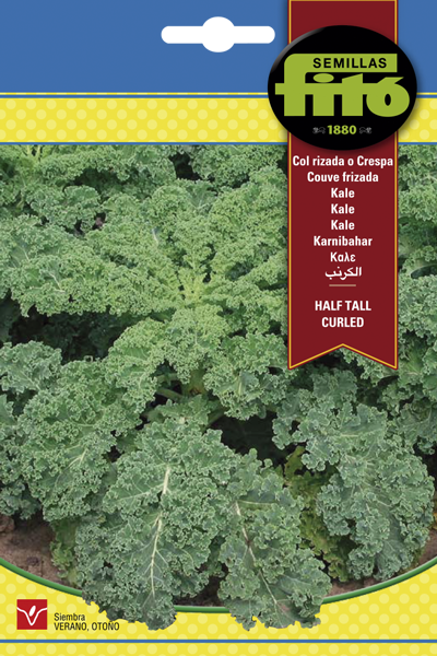 COL RIZADA KALE TALL FITO 9G. ASAGRO,SERVICIOS AGRICOLAS S.L.
