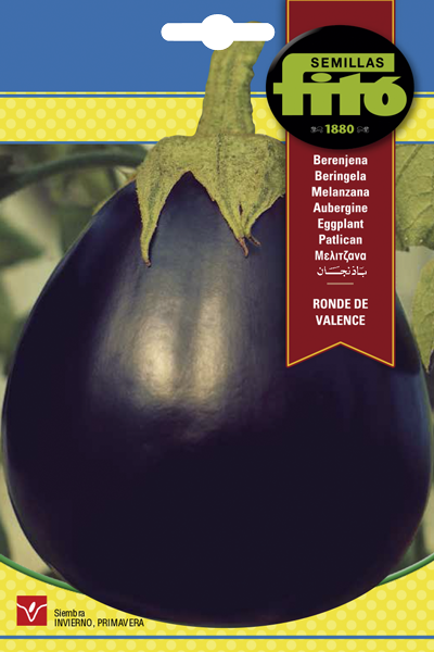 BERENJENA NEGRA RONDE DE VALENCE FITO 4 GR SB ASAGRO,SERVICIOS AGRICOLAS S.L.