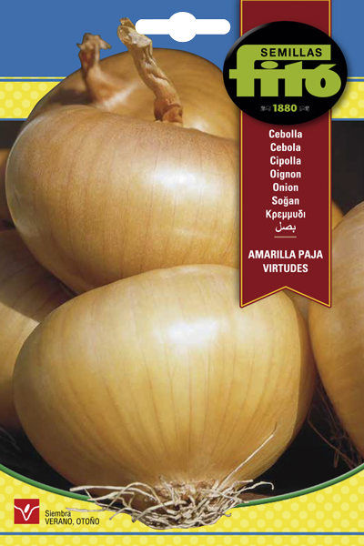 CEBOLLA AMARILLA PAJA VIRTUDES 7G SB ASAGRO,SERVICIOS AGRICOLAS S.L.