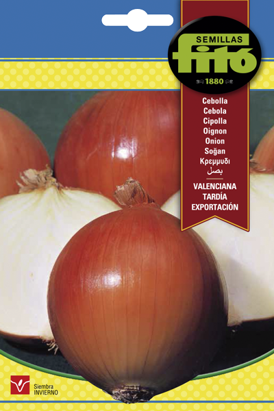 CEBOLLA VALENCIANA TARDIA 7GR. SB ASAGRO,SERVICIOS AGRICOLAS S.L.