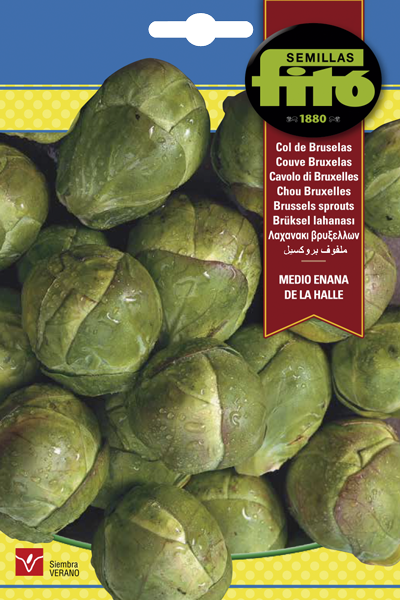 COL BRUSELAS FITO 8GR SB ASAGRO,SERVICIOS AGRICOLAS S.L.