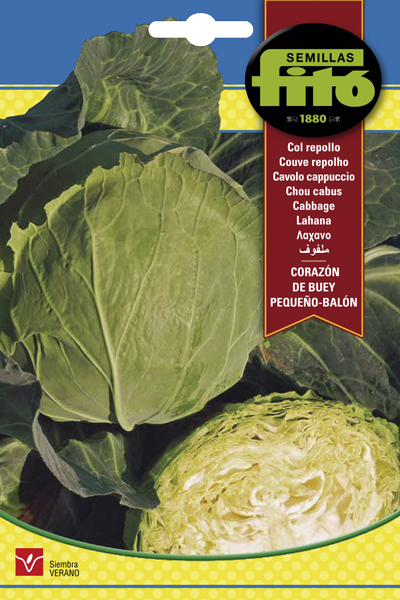 COL REPOLLO CORAZON BUEY FITO 8G ASAGRO,SERVICIOS AGRICOLAS S.L.