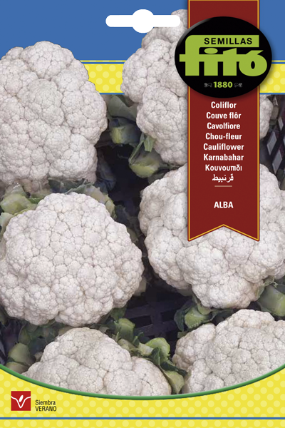 COLIFLOR ALBA FITO 4GR SB ASAGRO,SERVICIOS AGRICOLAS S.L.