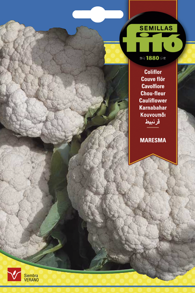 COLIFLOR MARESMA FITO 4GR SB ASAGRO,SERVICIOS AGRICOLAS S.L.