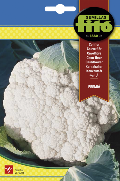 COLIFLOR PREMIA FITO 4GR SB ASAGRO,SERVICIOS AGRICOLAS S.L.