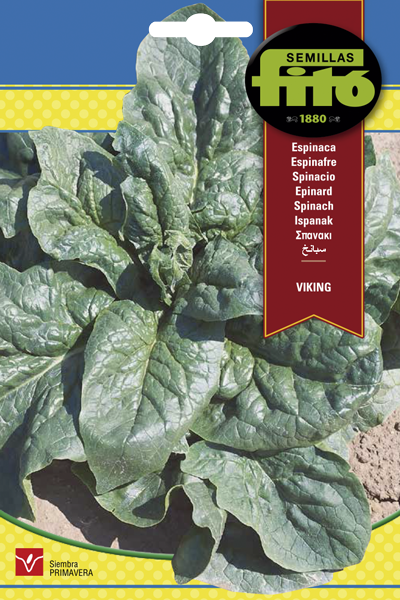 ESPINACA VIKING FITO 20 GR SB ASAGRO,SERVICIOS AGRICOLAS S.L.