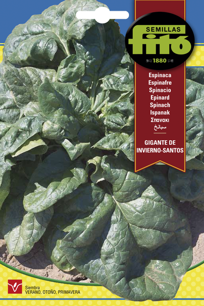 ESPINACA GIGANTE INVIERNO 20GR SB ASAGRO,SERVICIOS AGRICOLAS S.L.