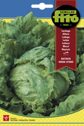 LECHUGA BATAVIA VERDE UTEBO 7GR SB ASAGRO,SERVICIOS AGRICOLAS S.L.