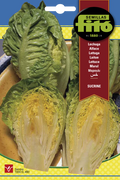 LECHUGA SUCRINE FITO 8GR SB ASAGRO,SERVICIOS AGRICOLAS S.L.