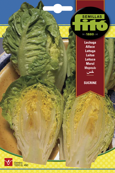 LECHUGA SUCRINE FITO 8GR SB ASAGRO,SERVICIOS AGRICOLAS S.L.