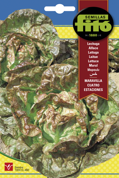 LECHUGA MARAVILLA 4 ESTACIONES 8G SB ASAGRO,SERVICIOS AGRICOLAS S.L.