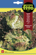LECHUGA MARAVILLA DE VERANO SB ASAGRO,SERVICIOS AGRICOLAS S.L.
