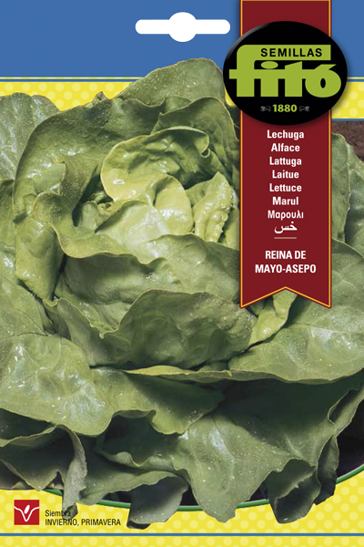 LECHUGA REINA MAYO ASEPO 7G SB ASAGRO,SERVICIOS AGRICOLAS S.L.