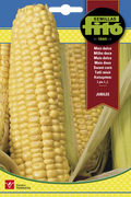 MAIZ DULCE JUBILEE FITO 10GR SB ASAGRO,SERVICIOS AGRICOLAS S.L.