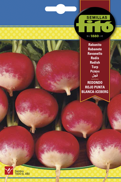 RABANITO RED.PUNTA BLANCA 20GR SB ASAGRO,SERVICIOS AGRICOLAS S.L.