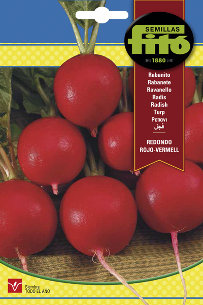 RABANITO RED.ROJO VERMELL SB ASAGRO,SERVICIOS AGRICOLAS S.L.