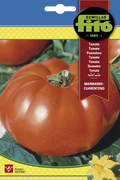 TOMATE MARMANDE CUARENTENO 3G FITO SB ASAGRO,SERVICIOS AGRICOLAS S.L.