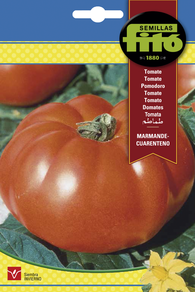 TOMATE MARMANDE CUARENTENO 3G FITO SB ASAGRO,SERVICIOS AGRICOLAS S.L.