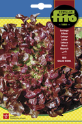 LECHUGA HOJA ROBLE RED SALAD-SB ASAGRO,SERVICIOS AGRICOLAS S.L.