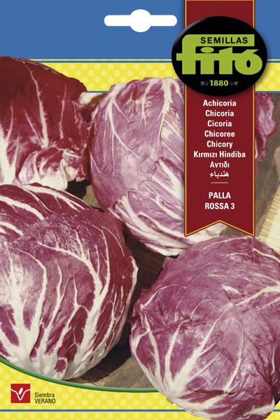 ACHICORIA PALLA ROSSA 6GR FITO SB ASAGRO,SERVICIOS AGRICOLAS S.L.