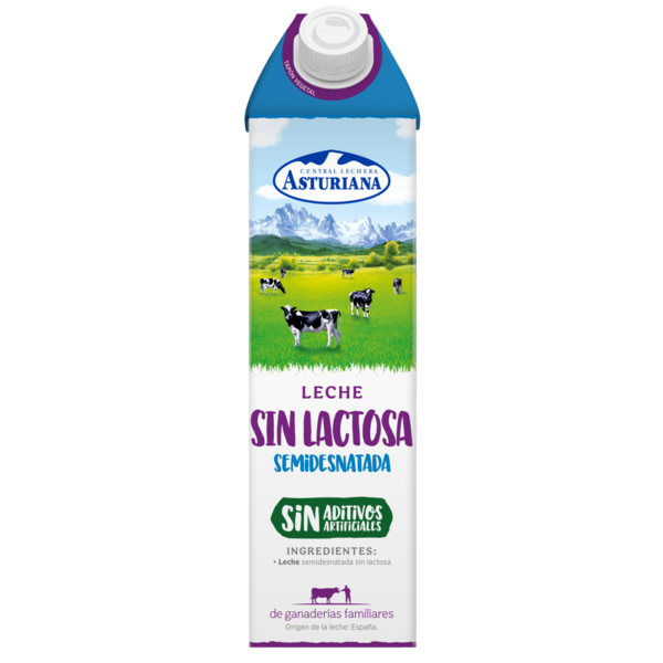 LECHE SIN LACTOSA SEMI CLAS 1L HIJOS DE LUIS RODRIGUEZ, S.A.