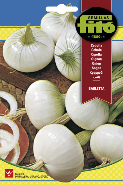 CEBOLLA BARLETTA FITO 7G ASAGRO,SERVICIOS AGRICOLAS S.L.