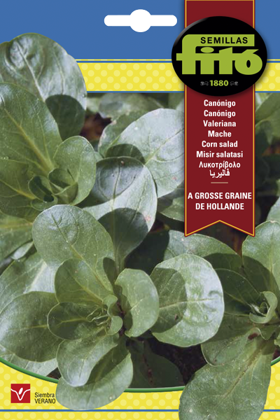 CANONIGOS FITO SB 8G ASAGRO,SERVICIOS AGRICOLAS S.L.