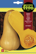 CALABAZA BUTTERNUT FITO SB 10G ASAGRO,SERVICIOS AGRICOLAS S.L.