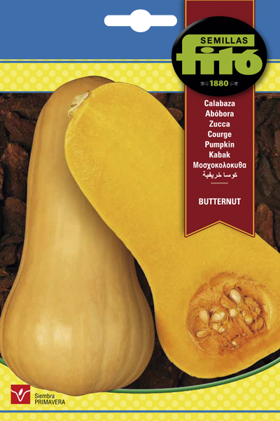 CALABAZA BUTTERNUT FITO SB 10G ASAGRO,SERVICIOS AGRICOLAS S.L.