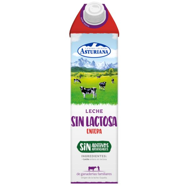 LECHE SIN LACTOSA ENTERA CLAS 1L HIJOS DE LUIS RODRIGUEZ, S.A.