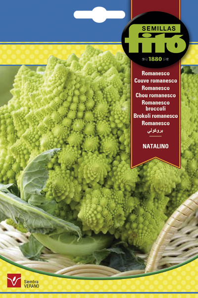 ROMANESCO NATALINO FITO 4GR ASAGRO,SERVICIOS AGRICOLAS S.L.