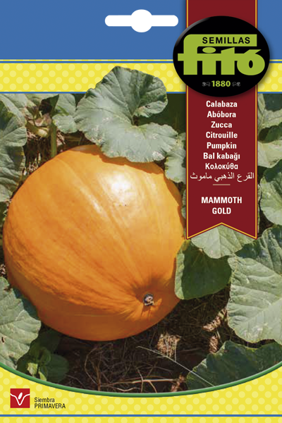 CALABAZA MAMMOTH GOLD FITO 6 GR ASAGRO,SERVICIOS AGRICOLAS S.L.
