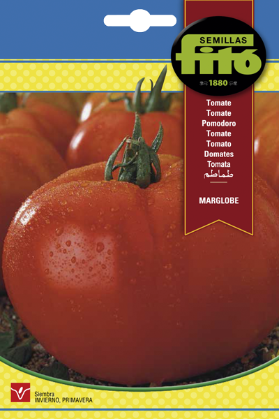 TOMATE MARGLOBE 3GR FITO SB ASAGRO,SERVICIOS AGRICOLAS S.L.