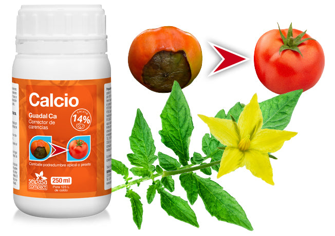 CORRECTOR CALCIO SEIPASA 250ML SEMILLAS SIDIPAL, S.L.