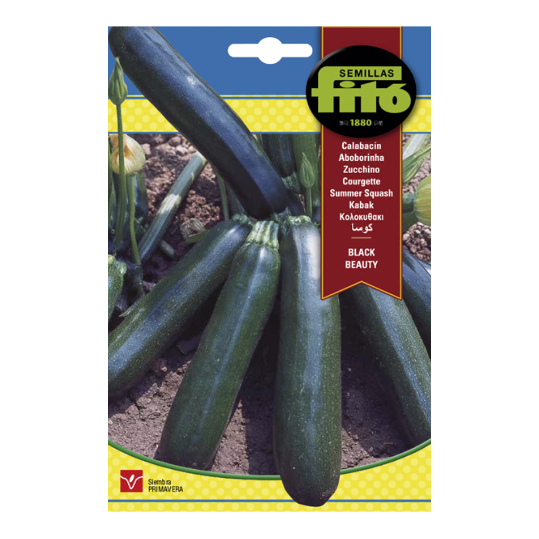 CALABACIN BLACK BEAUTY 10 GR ASAGRO,SERVICIOS AGRICOLAS S.L.