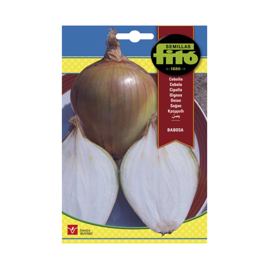 CEBOLLA BABOSA 7 GMS. ASAGRO,SERVICIOS AGRICOLAS S.L.