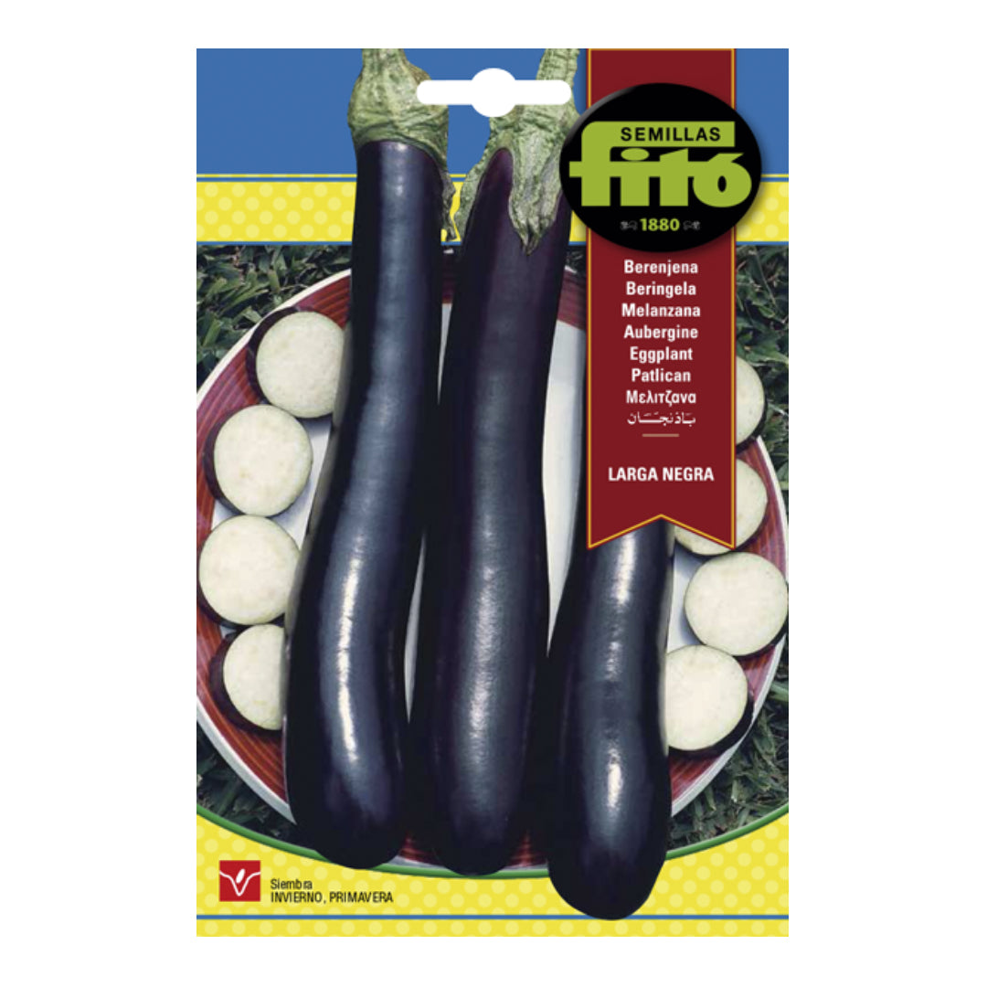 BERENJENA LARGA NEGRA FITO 5GR SB ASAGRO,SERVICIOS AGRICOLAS S.L.