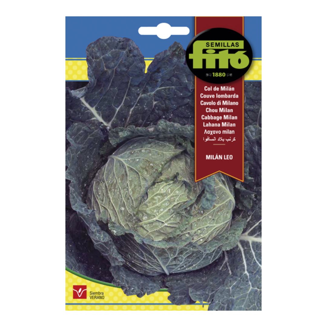 COL MILAN LEO FITO 8GR SB ASAGRO,SERVICIOS AGRICOLAS S.L.