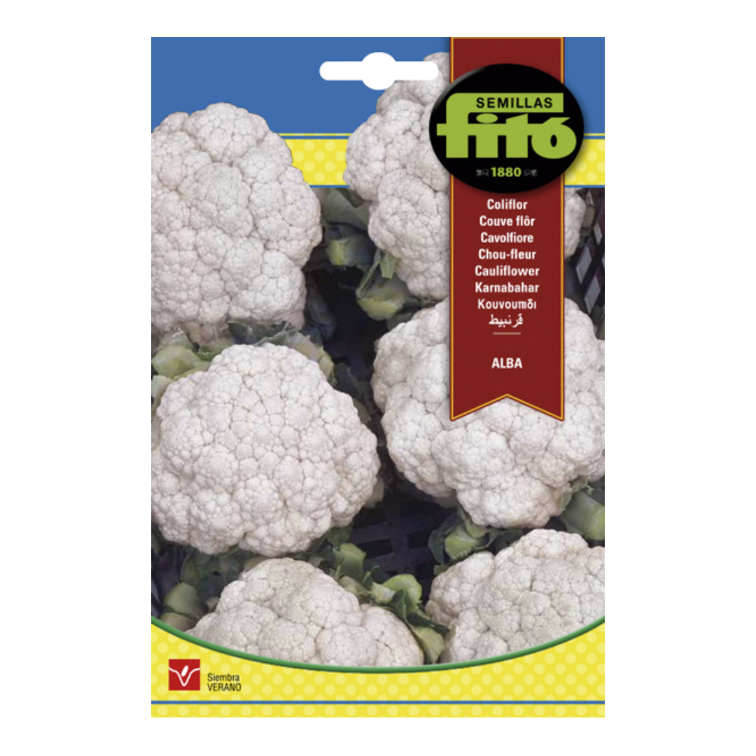 COLIFLOR ALBA FITO 4GR SB ASAGRO,SERVICIOS AGRICOLAS S.L.