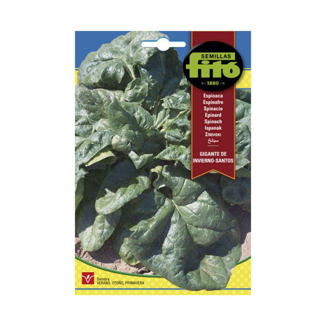 ESPINACA GIGANTE INVIERNO 20GR SB ASAGRO,SERVICIOS AGRICOLAS S.L.