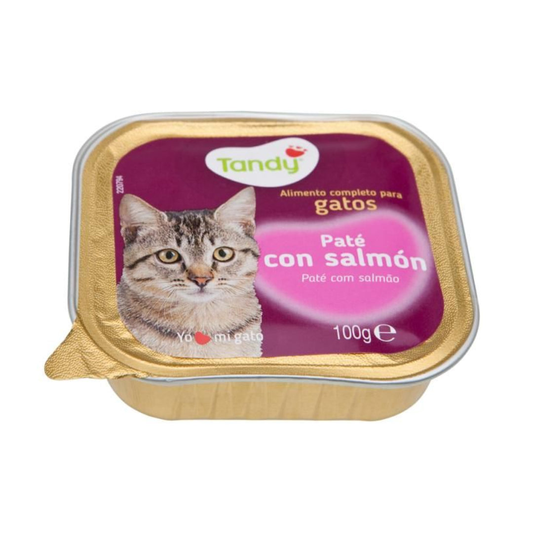 TANDY GATOS SALMON 100GR HIJOS DE LUIS RODRIGUEZ, S.A.